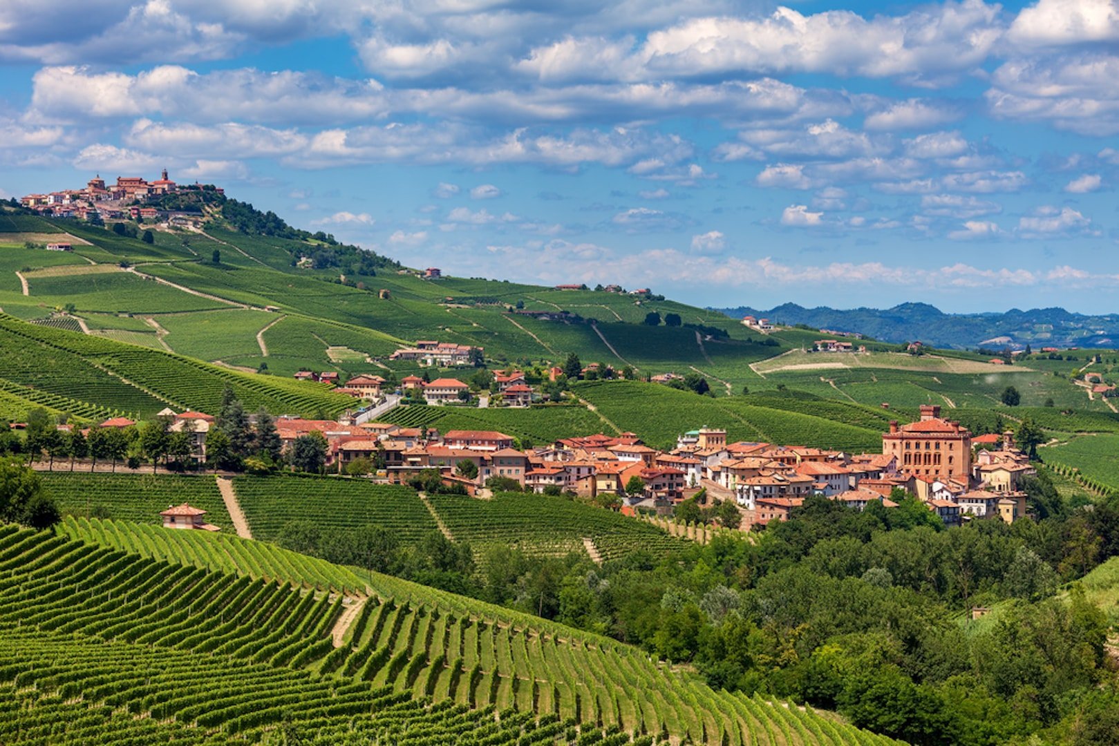  Barolo  The Guide to A Fantastic Italian  Wine Region 